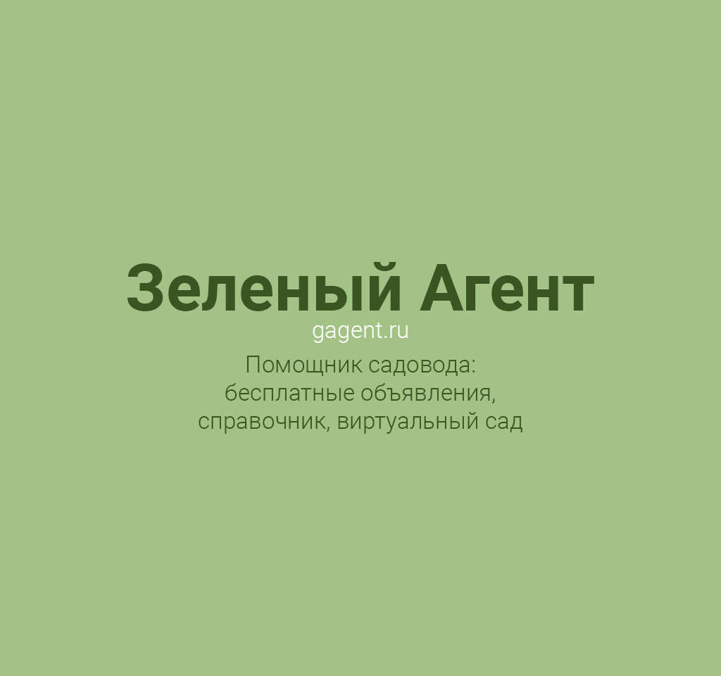 Зеленый Агент - помощник садовода, справочник, виртуальный сад